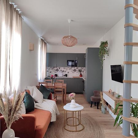 Maison Cosy Terrasse Ensoleille Clermont-Ferrand Buitenkant foto